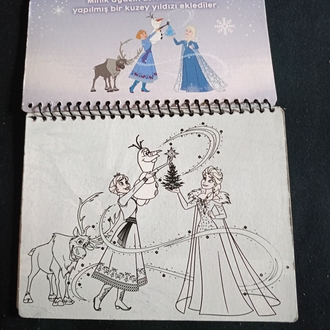 Disney Frozen Renkli Sihirli Su Defteri