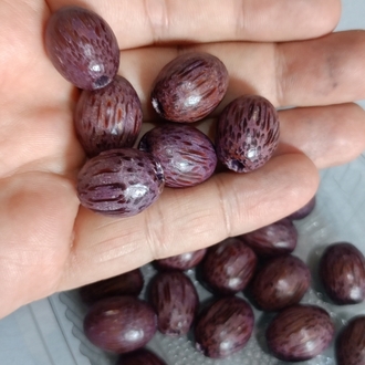 24 Adet Ahşap Delikli Boncuk