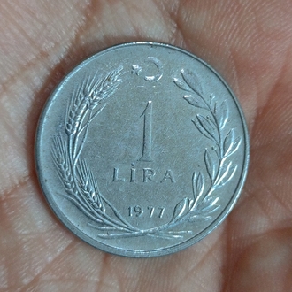 1 Lira Hatıra  Madeni Para (1977)