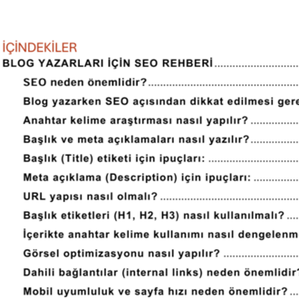 YENİ BAŞLAYANLAR İÇİN SEO REHBERİ