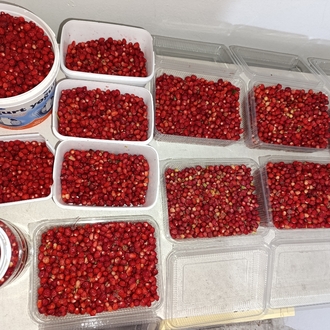 Dağ çileği reçeli 425 CC kavanozda 500gr.