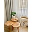 3’lü Lale Modeli - Sade Cila-