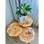 3’lü Lale Modeli - Sade Cila-