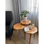 3’lü Lale Modeli - Sade Cila-