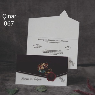 ÇINAR 067