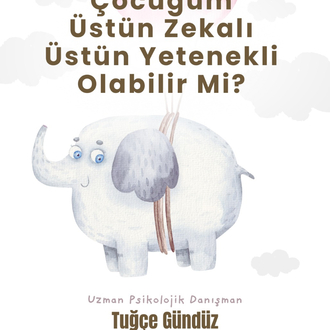 Çocuğum Üstün Zekalı/Yetenekli Olabilir Mi?  -0-4 Yaş Ebeveynlerine Yönelik-