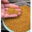 AKILLI GÜBRE (500gram)