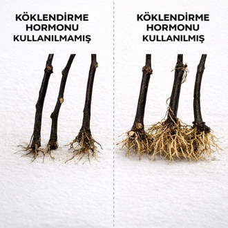 Köklendirme hormonu ( 50 gram Toz) 