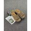 GUCCİ TERLİK | 2 RENK 