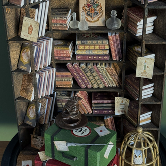 Harry Potter Fanus Kitaplık
