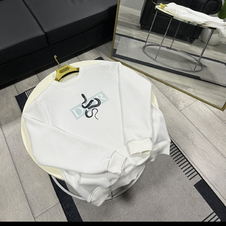 Dior Sweatshirt Premium!