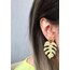 Monstera