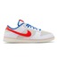 Nike Dunk Low Retro PRM 