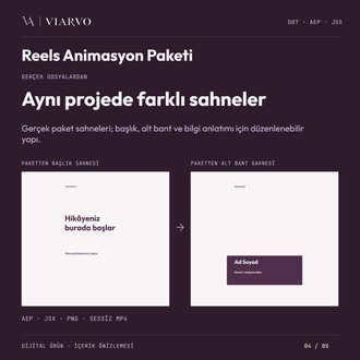 Reels Grafik Animasyon Paketi (AEP · JSX)