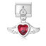 Kırmızı kanatlı charm