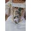 VİCTORİA CORSET 