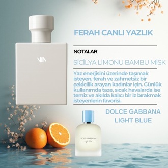 DOLCE GABBANA LIGHT BLUE DUPE
