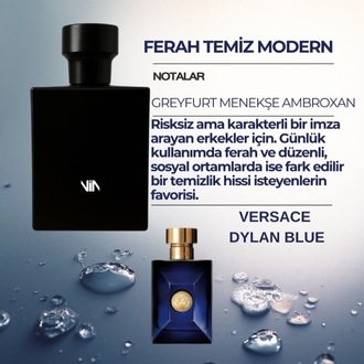 VERSACE DYLAN BLUE DUPE