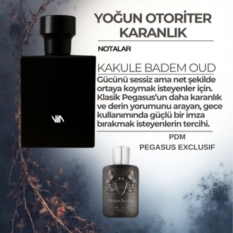 PARFUMS DE MARLY PEGASUS EXCLUSIF DUPE