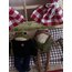 Special frog