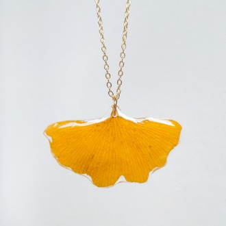 Ginkgo biloba kolye