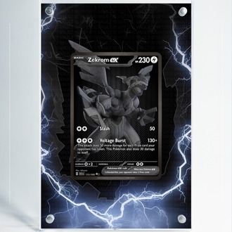 Zekrom ex 2 - Black Bolt - Extended Art Display