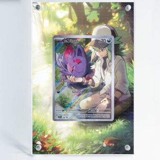 N's Zorua - Extended Art Display