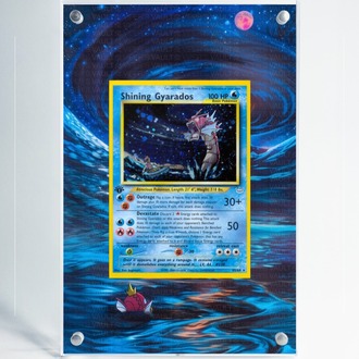 Shining Gyarados - Extended Art Display