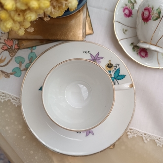 Limoges fincan 
