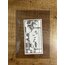 Para Föyü 25 Adet 210x145MM