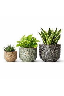 Renkli Dekoratif Baykuş Kaplar Rustik Salon Konsol Raf Ofis Dekoru