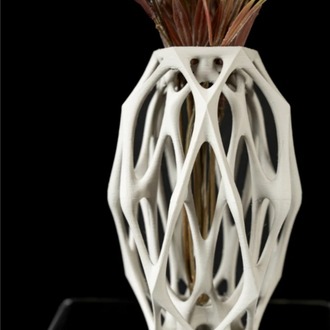 Voronoi Model WDM Vazo