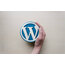 Kurumsal Web Sitesi (Wordpress)