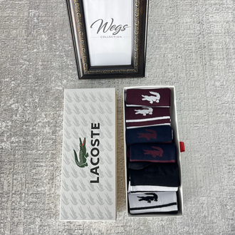 Lacoste Çorap 6 Adet