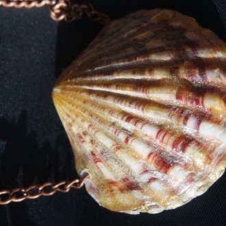 Re-decorated Shell Necklace 1