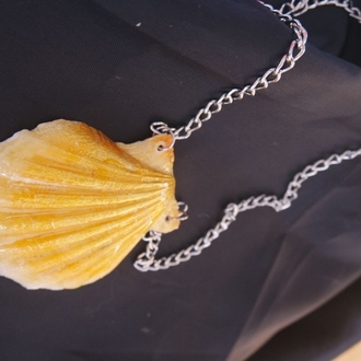 Re-decorated Shell Necklace 2