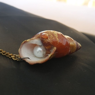 Re-decorated Shell Necklace 3