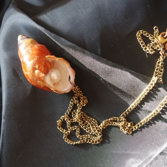Re-decorated Shell Necklace 3