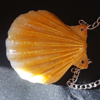 Re-decorated Shell Necklace 2