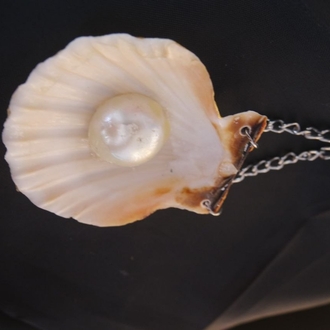 Re-decorated Shell Necklace 2