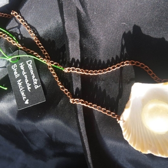 Re-decorated Shell Necklace 1