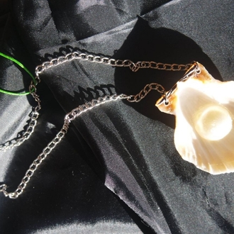 Re-decorated Shell Necklace 2