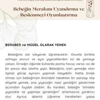 Minik Eller, Büyük Lokmalar - Bebek Liderliğinde Beslenme Rehberi