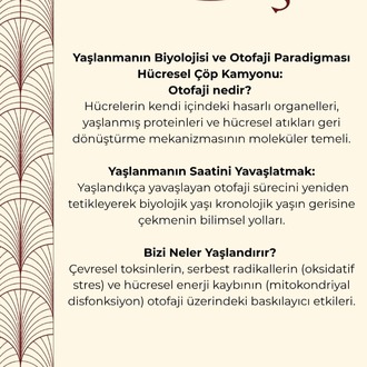 LONGEVITY SERİSİ -