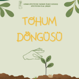TOHUM DÖNGÜSÜ