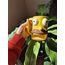 Homer simpson mug