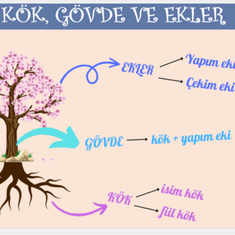 6. SINIF TÜRKÇE DERS SUNUMLARI