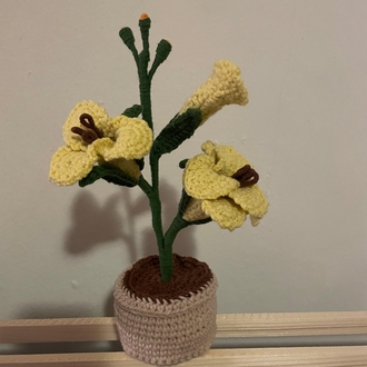 Saksıda El Yapımı Glayöl - Sevimli Amigurumi Dekor