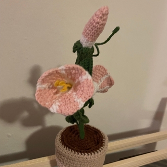 Saksıda El Yapımı Sabah Sefası - Sevimli Amigurumi Dekor