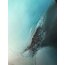 ‘Ocean Sparkle’ | 40x50
